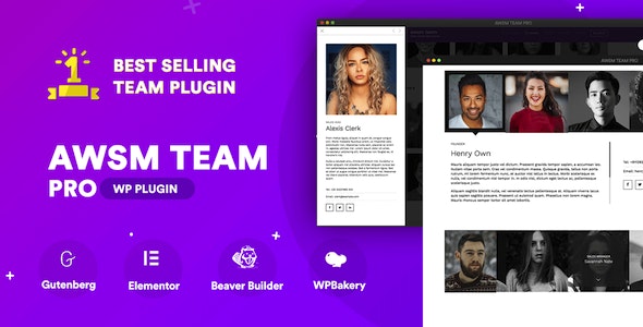The Team Pro v1.11.1 - Team Showcase WordPress Plugin