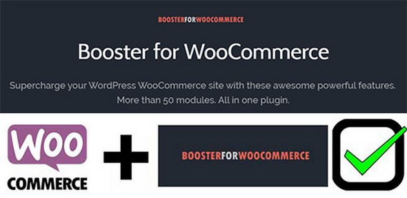Booster Plus for WooCommerce v6.0.4