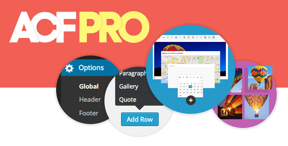 Advanced Custom Fields Pro v6.3.7