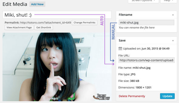 Media File Renamer Pro - v6.0.6