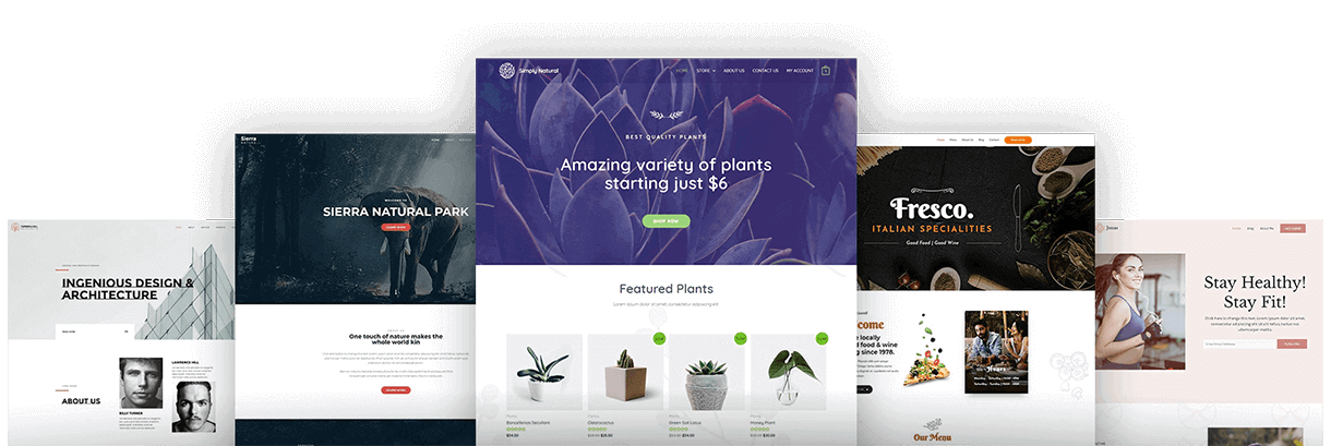 Astra Pro Addon – Perfect Theme For Any Website - v4.6.2