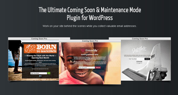 SeedPro Comming Soon Pro - Wordpress Plugin v6.10.0