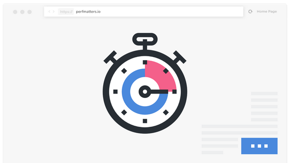 Perfmatters - Lightweight Performance Plugin - v2.3.6