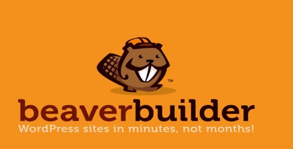 Beaver Builder Pro v2.9.4
